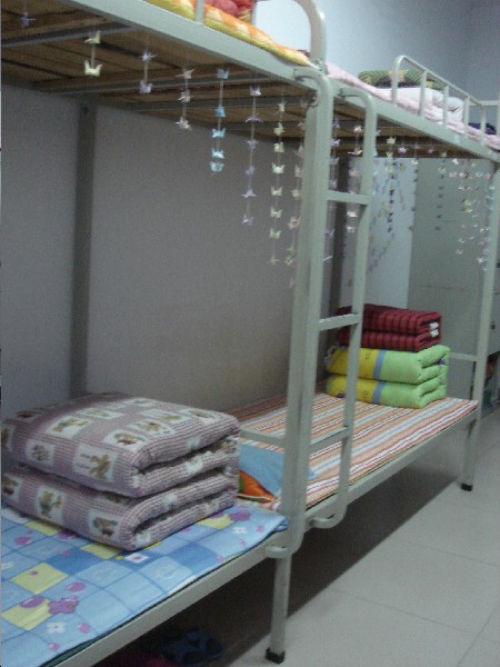 olz.photo.qq.jpg